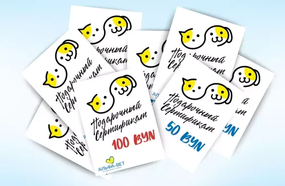 ПОДАРОК, КОТОРЫЙ ВАЖЕН!