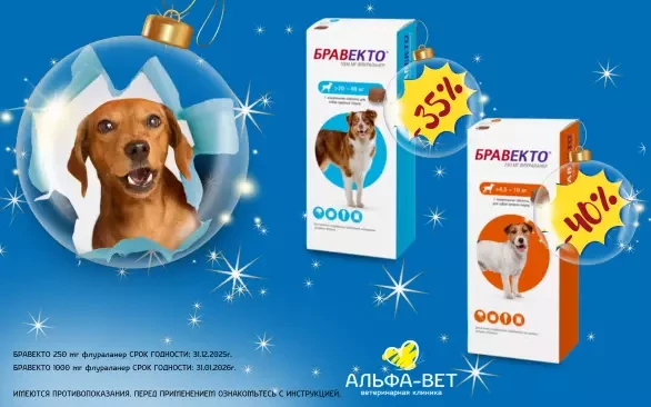 СПЕЦИАЛЬНОЕ ПРЕДЛОЖЕНИЕ СЕЗОНА