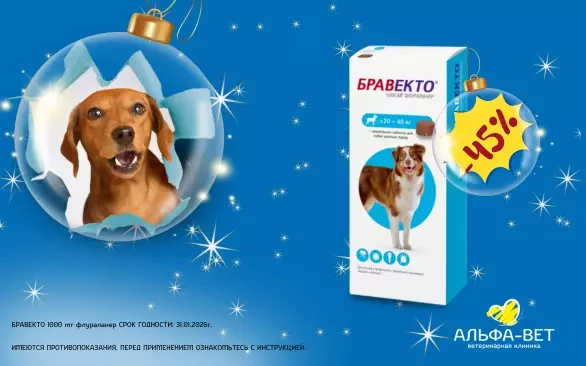 СПЕЦИАЛЬНОЕ ПРЕДЛОЖЕНИЕ СЕЗОНА