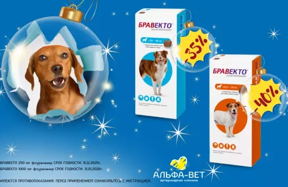 СПЕЦИАЛЬНОЕ ПРЕДЛОЖЕНИЕ СЕЗОНА