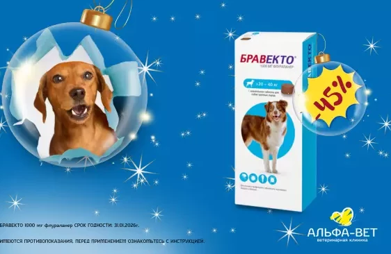 СПЕЦИАЛЬНОЕ ПРЕДЛОЖЕНИЕ СЕЗОНА