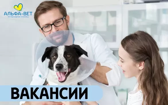 ПРИГЛАШАЕМ В КОМАНДУ!