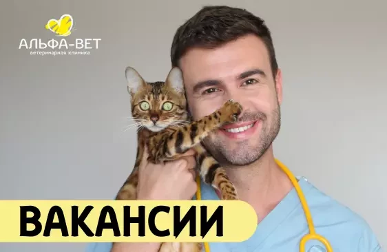 ПРИГЛАШАЕМ В КОМАНДУ!