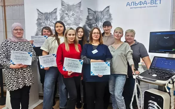 ПОГРУЖЕНИЕ В МИР УДЬТРАЗВУКОВОЙ ДИАГНОСТКИ: КАК ЭТО БЫЛО