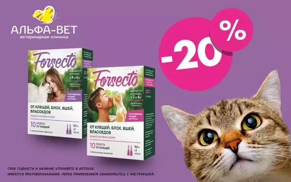 ОТПРАВЬТЕ КЛЕЩЕЙ И ВШЕЙ В НОКДАУН!