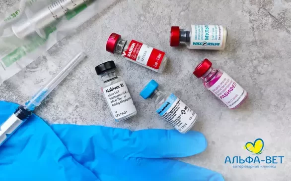 КОВАРНЫЙ ВИРУС БЛИЖЕ, ЧЕМ ВЫ ДУМАЛИ