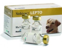 Nobivac Lepto, вакцина для собак (1 фл.=1 доза)