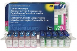 Вангард Плюс "Vangard Plus 5 L4 CV" вакцина для собак (2 фл.=1 доза)