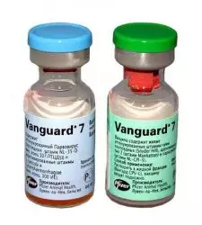 Вангард 7 "Vanguard 7" вакцина для собак (2 фл.=1 доза)