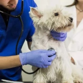 Первичный прием кардиолога