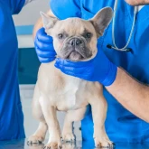 Первичный прием травматолога-ортопеда