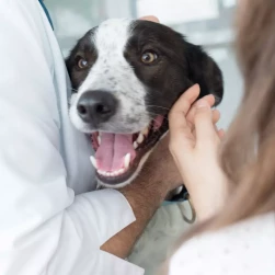 Повторный прием эндокринолога