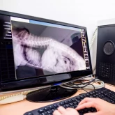 Письменное заключение по рентгеновскому снимку/снимкам одной системы