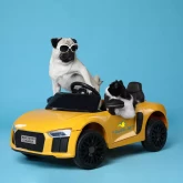 Выездная служба (до 2-го кольца, Минск)