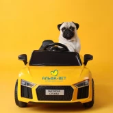 Выездная служба (до МКАД-1, Минск)