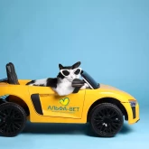 Выездная служба (до МКАД-2, Минская область)