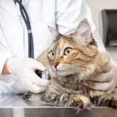 Первичный прием ведущего онколога