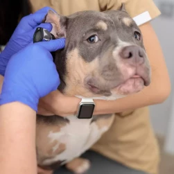 Повторный прием ведущего онколога