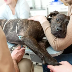 ЭКГ-мониторинг